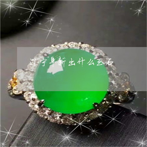 辽宁阜新出什么玉石/2023020641595