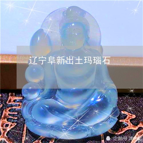 辽宁阜新出土玛瑙石/2023020650481