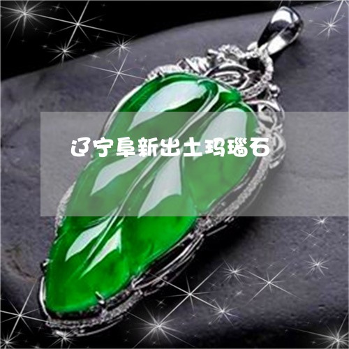 辽宁阜新出土玛瑙石/2023020684925