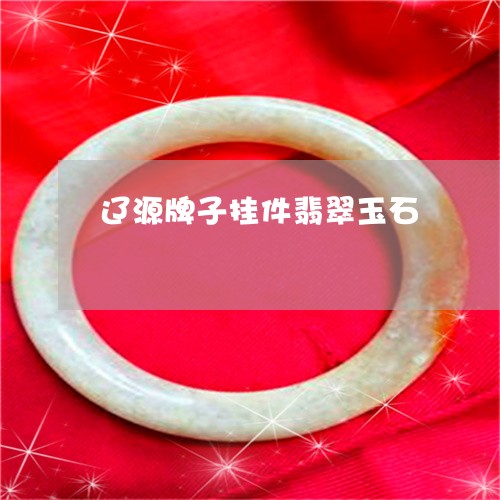 辽源牌子挂件翡翠玉石/2023060505816