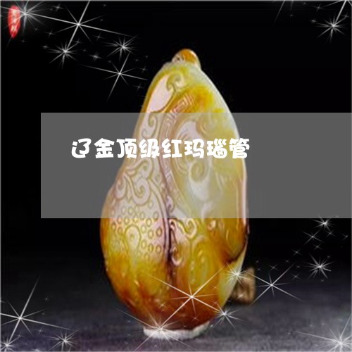 辽金顶级红玛瑙管/2023030139404 辽金顶级红玛瑙管/2023030139404