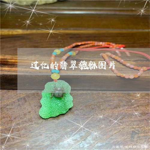 过亿的翡翠貔貅图片/2023020638172