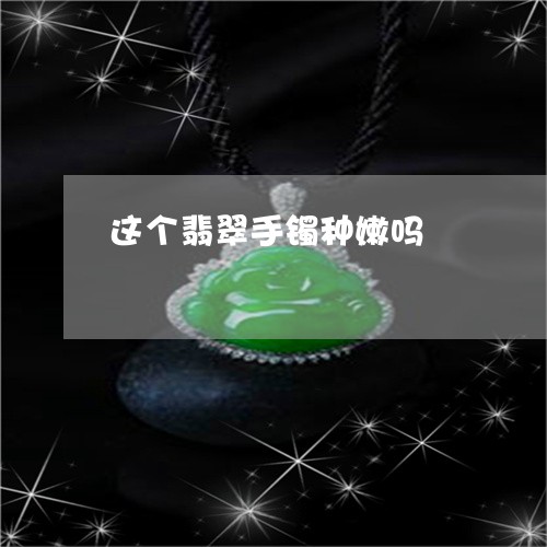 这个翡翠手镯种嫩吗/2023020620393 这个翡翠手镯种嫩吗/2023020620393