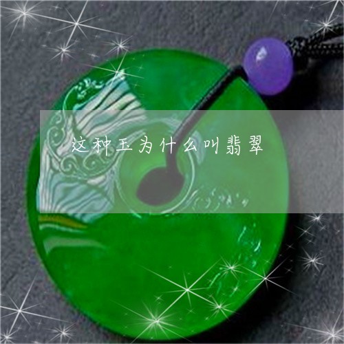 这种玉为什么叫翡翠/2023020606169