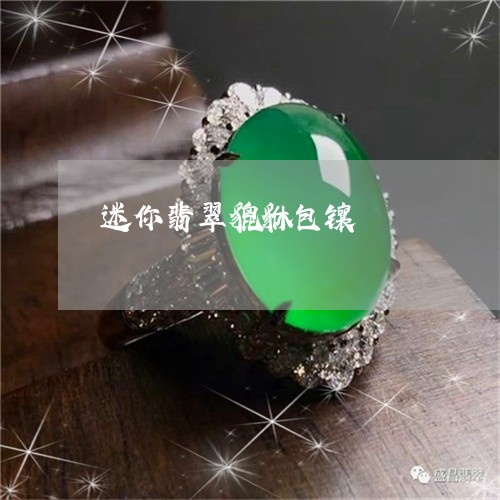 迷你翡翠貔貅包镶/2023030249504