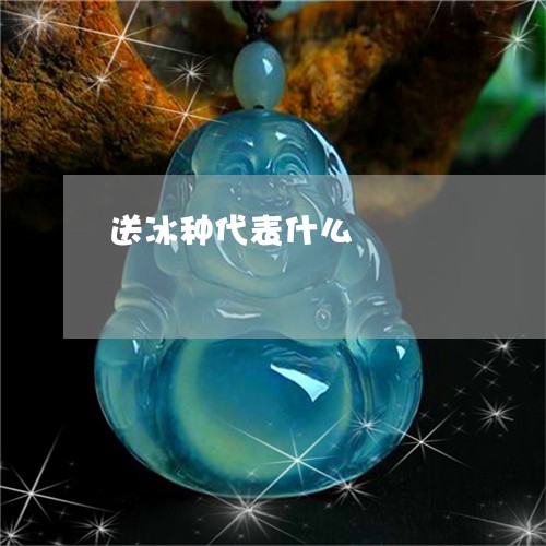 送冰种代表什么/2023032251715