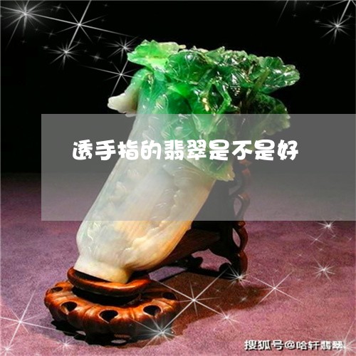 透手指的翡翠是不是好/2023060459581