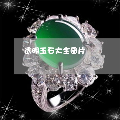 透明玉石大全图片/2023022893038