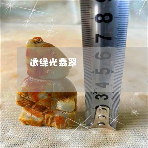 透绿光翡翠/2023071260492