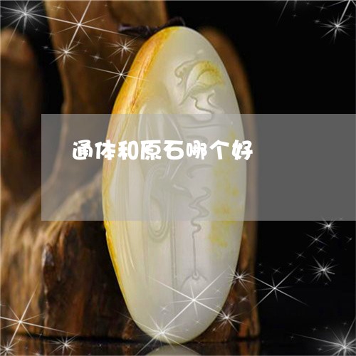 通体和原石哪个好/2023022853718 通体和原石哪个好/2023022853718