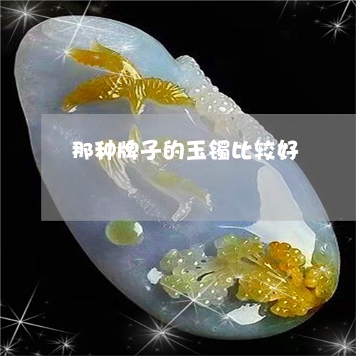 那种牌子的玉镯比较好/2023060279695