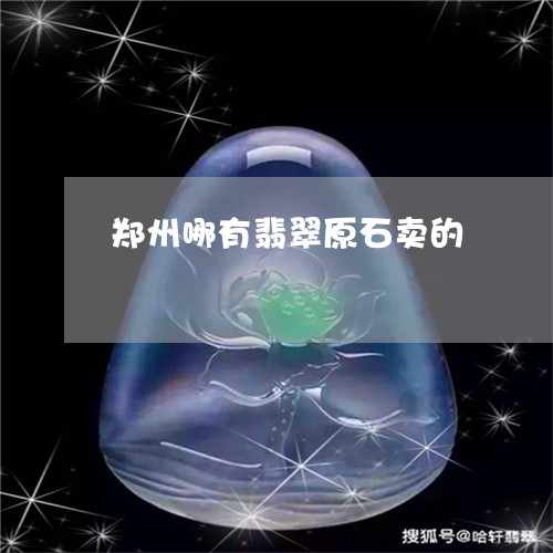 郑州哪有翡翠原石卖的/2023060209362