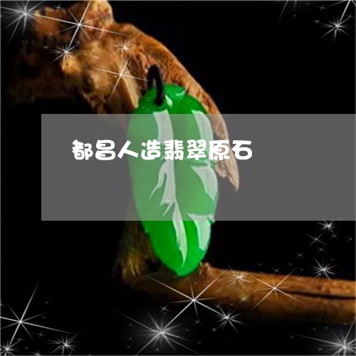 都昌人造翡翠原石/2023022803826 都昌人造翡翠原石/2023022803826