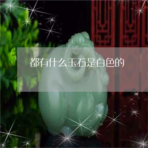 都有什么玉石是白色的/2023060303725