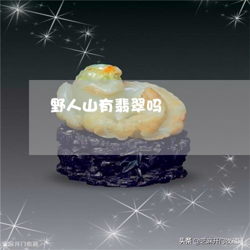 野人山有翡翠吗/2023032195915