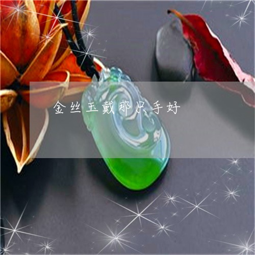 金丝玉戴那只手好/2023022810402 金丝玉戴那只手好/2023022810402