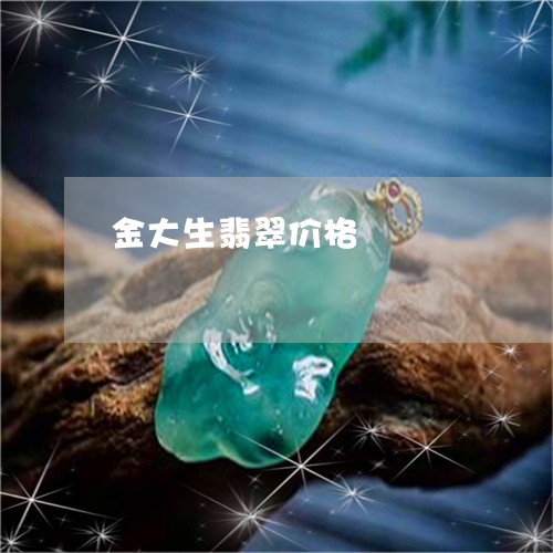 金大生翡翠价格/2023032239492
