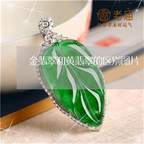 金翡翠和黄翡翠的区别图片/2023071195828