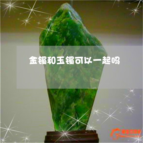 金镯和玉镯可以一起吗/2023060303603