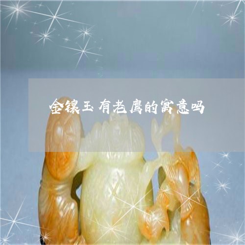 金镶玉有老鹰的寓意吗/2023060300713