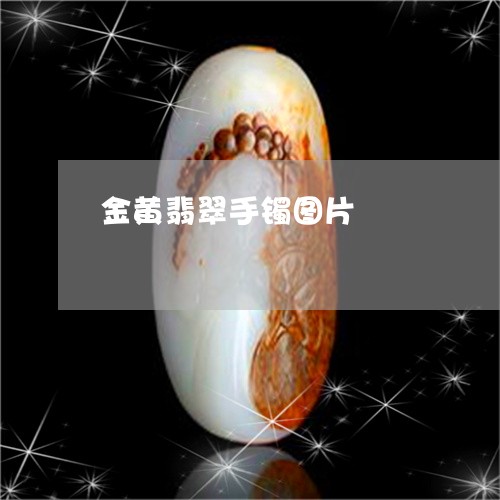 金黄翡翠手镯图片/2023022867683 金黄翡翠手镯图片/2023022867683