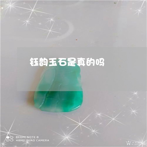 钰韵玉石是真的吗/2023022832928 钰韵玉石是真的吗/2023022832928