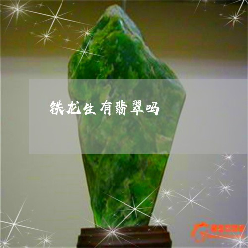 铁龙生有翡翠吗/2023032140481 铁龙生有翡翠吗/2023032140481
