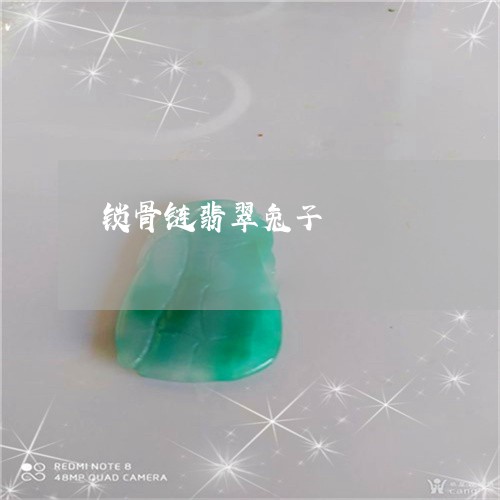 锁骨链翡翠兔子/2023032153582 锁骨链翡翠兔子/2023032153582
