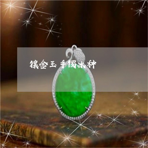 镶金玉手镯冰种/2023032127059 镶金玉手镯冰种/2023032127059