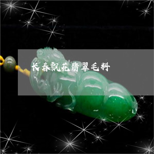 长春飘花翡翠毛料/2023022807694