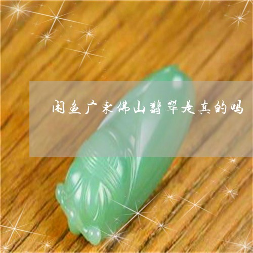 闲鱼广东佛山翡翠是真的吗/2023062995147 闲鱼广东佛山翡翠是真的吗/2023062995147