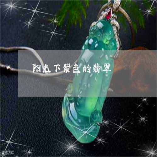 阳光下紫色的翡翠/2023022836048 阳光下紫色的翡翠/2023022836048