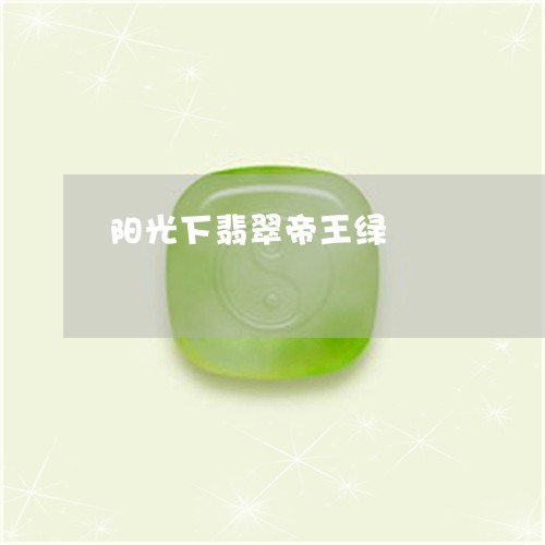 阳光下翡翠帝王绿/2023022863917 阳光下翡翠帝王绿/2023022863917
