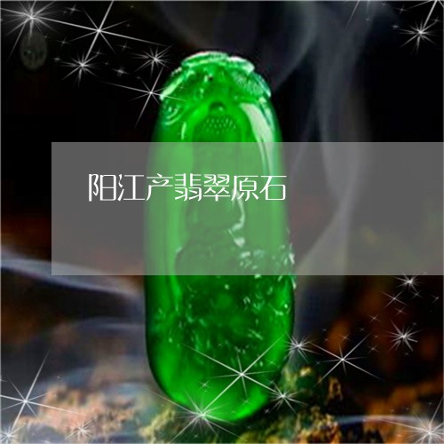 阳江产翡翠原石/2023032238137