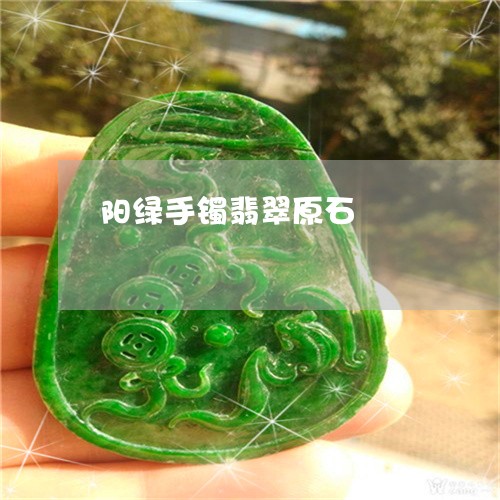 阳绿手镯翡翠原石/2023022897273 阳绿手镯翡翠原石/2023022897273
