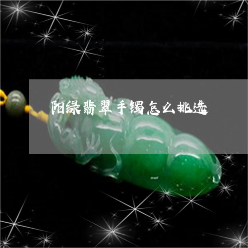 阳绿翡翠手镯怎么挑选/2023060485028