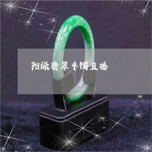 阳绿翡翠手镯直播/2023022858352