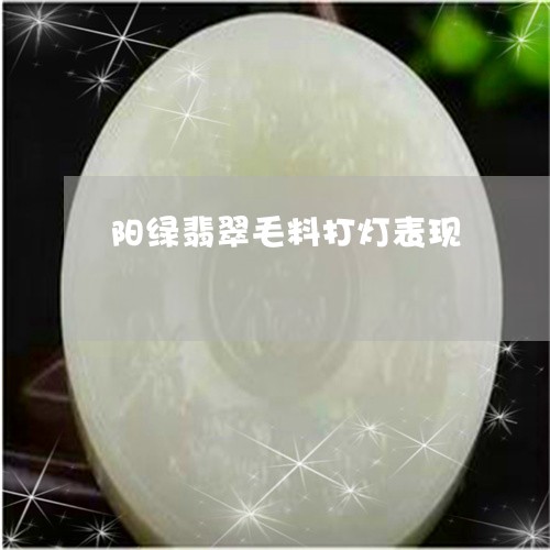 阳绿翡翠毛料打灯表现/2023060426382 阳绿翡翠毛料打灯表现/2023060426382