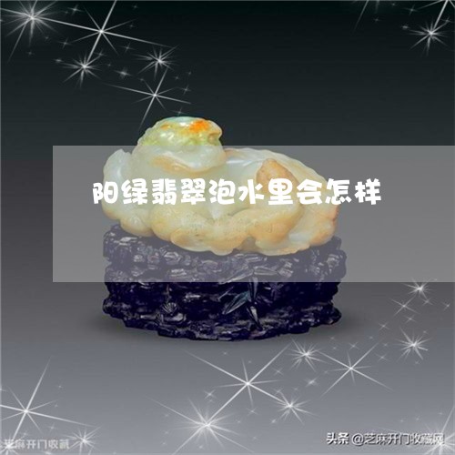 阳绿翡翠泡水里会怎样/2023060486150