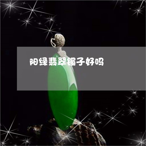 阳绿翡翠镯子好吗/2023022852692 阳绿翡翠镯子好吗/2023022852692