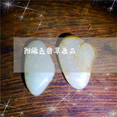 阳绿色翡翠原石/2023032250593