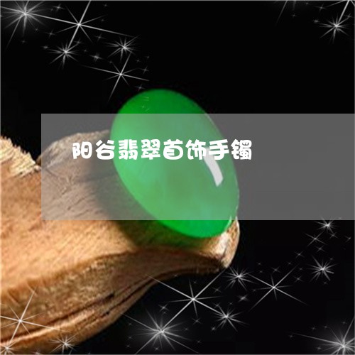 阳谷翡翠首饰手镯/2023022894715 阳谷翡翠首饰手镯/2023022894715