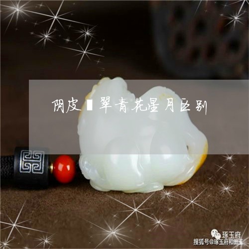 阴皮翡翠青花星月区别/2023060405727