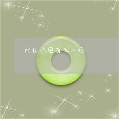 阿拉木图有玉石吗/2023022879581 阿拉木图有玉石吗/2023022879581