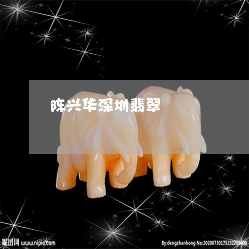 陈兴华深圳翡翠/2023032206057