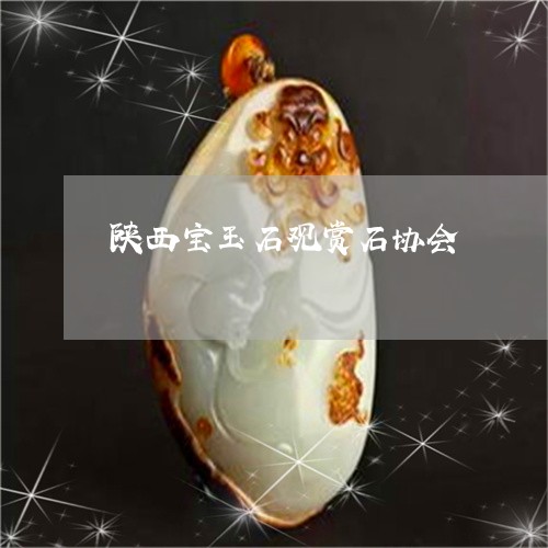 陕西宝玉石观赏石协会/2023060439404