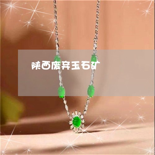 陕西废弃玉石矿/2023032207169