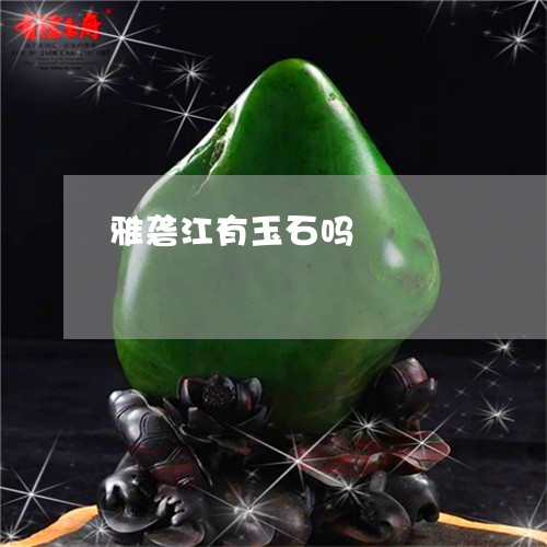 雅砻江有玉石吗/2023032239380