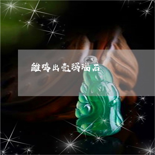 雏鸡出壳玛瑙石/2023032292814 雏鸡出壳玛瑙石/2023032292814