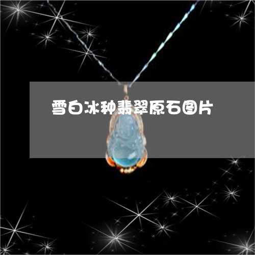 雪白冰种翡翠原石图片/2023060495037